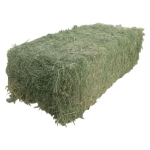 Alfalfa Hay