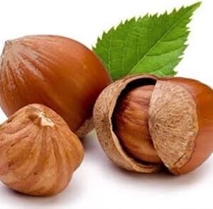 Hazelnut
