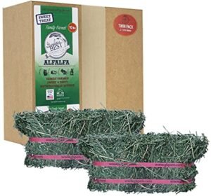 Alfalfa Hay