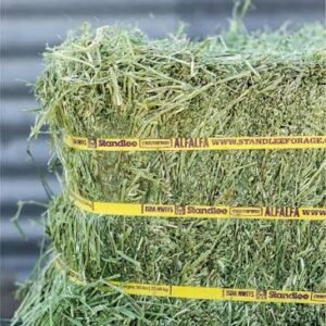 Timothy Hay