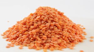 Red Lentil